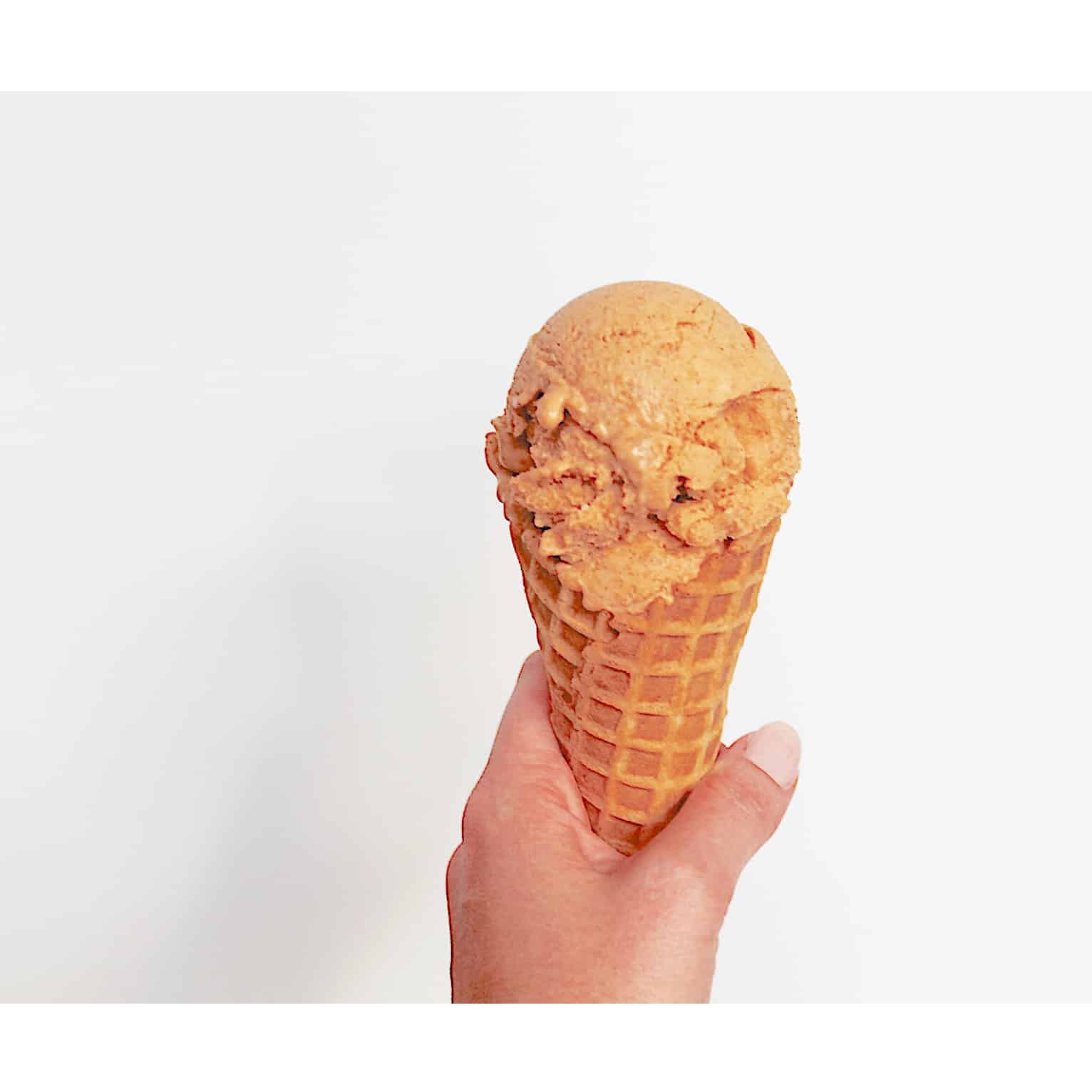 Pumpkin protein ice cream